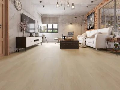 Maximize Natural Light: Harness the Sun's Power
