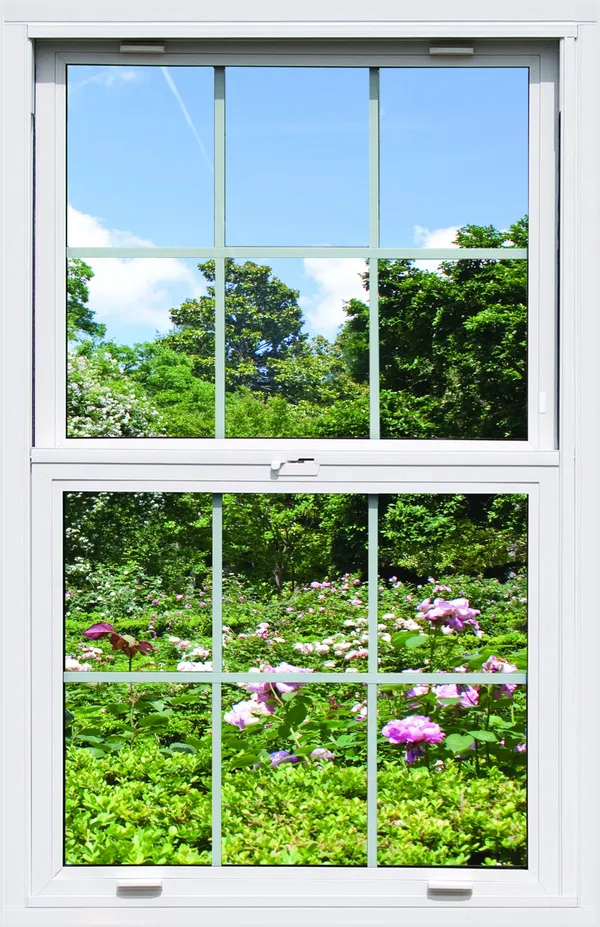 Double-hung window display model
