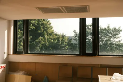 When to Replace Windows